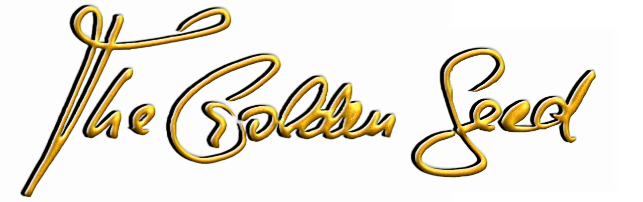 The Golden Seed – schweizer Steelwallet
